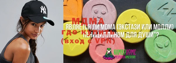 спиды Пересвет