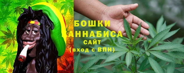 спиды Пересвет