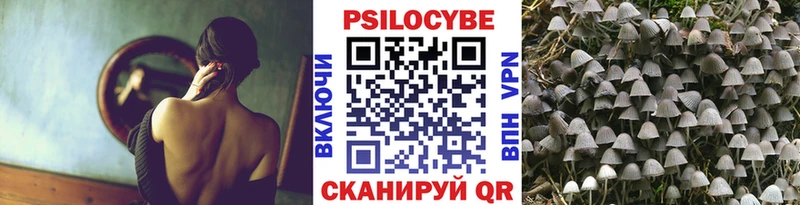 МЕГА ТОР  Кимовск  Галлюциногенные грибы ЛСД 