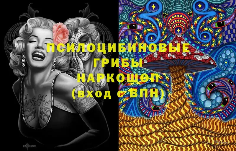 Псилоцибиновые грибы MAGIC MUSHROOMS  MEGA   Кимовск 