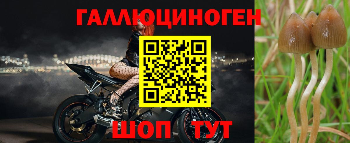 Псилоцибиновые грибы мухоморы  Вход с VPN  Кимовск 
