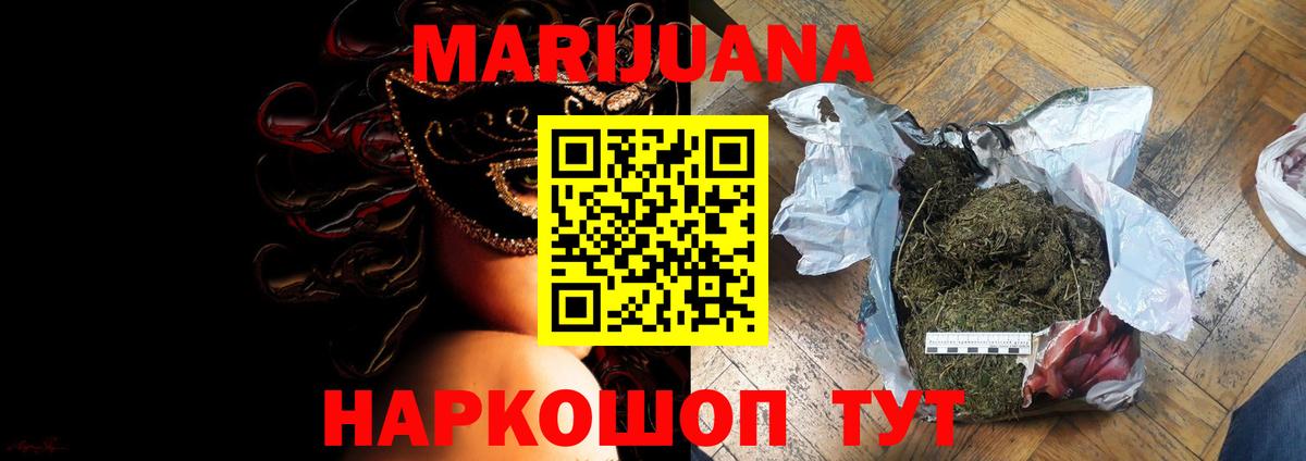 Бошки Шишки план Кимовск